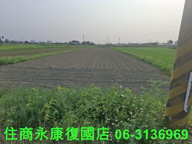 善化農地-8