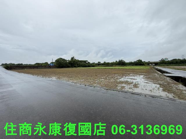 台南善化農地-5