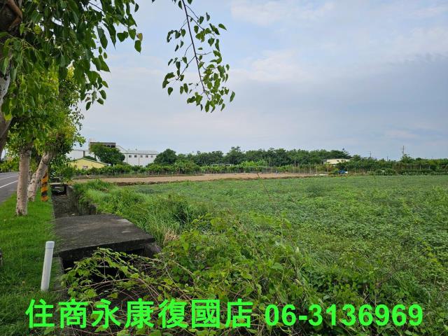 台南七股農地-5