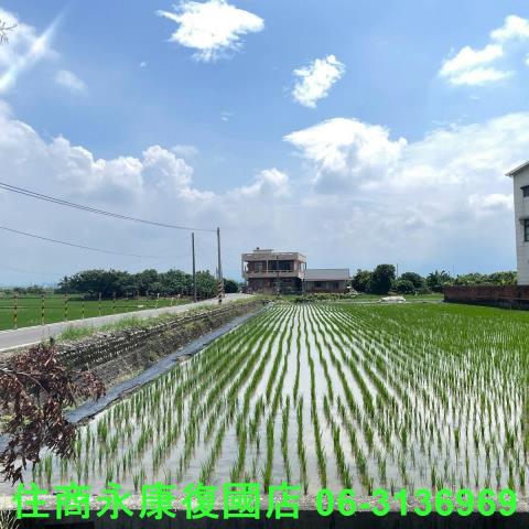 台南白河農地-13